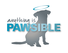 Anything Is Pawsible